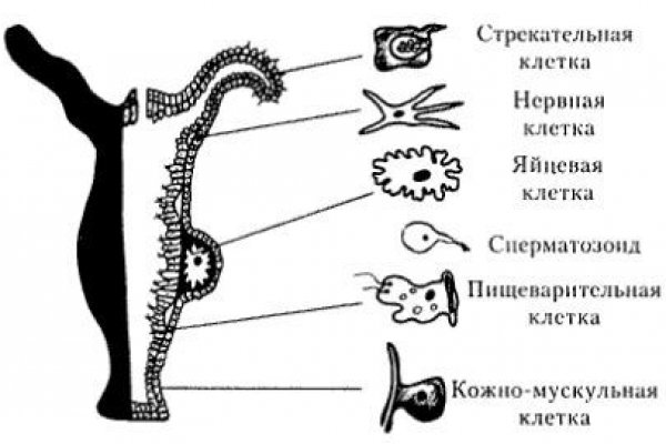 Кракен площадка