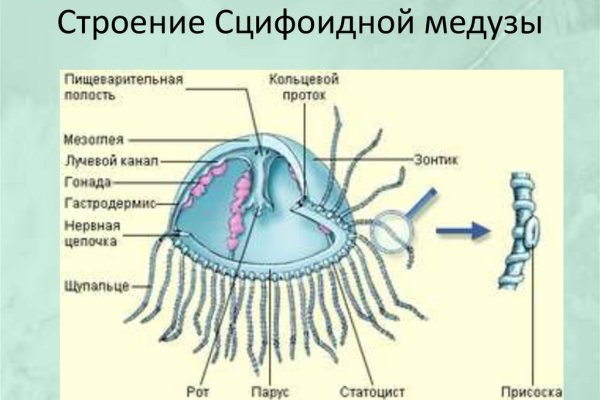 Kraken дарк магазин