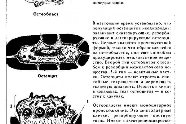 Как зайти на кракен браузеры